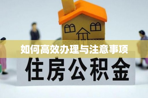 达州如何高效办理与注意事项