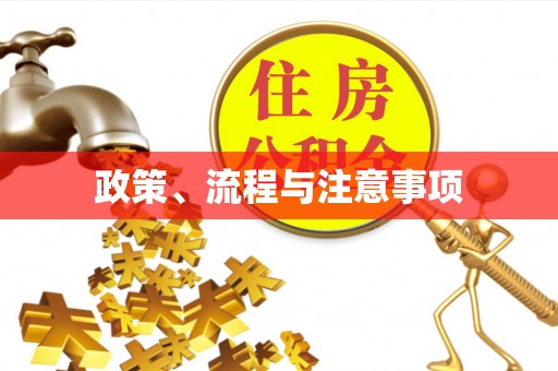 达州政策、流程与注意事项