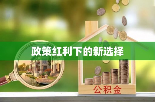 达州政策红利下的新选择