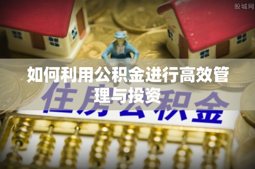 达州如何利用公积金进行高效管理与投资