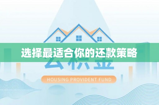 达州选择最适合你的还款策略