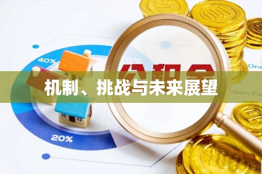 达州机制、挑战与未来展望