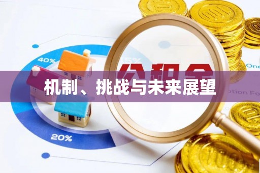 达州机制、挑战与未来展望